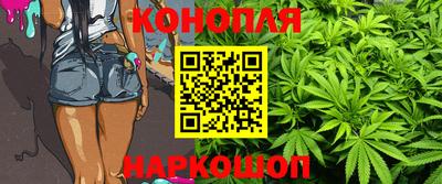 сатива Сланцы