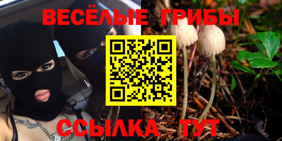 Псилоцибиновые грибы мухоморы Наро-Фоминск