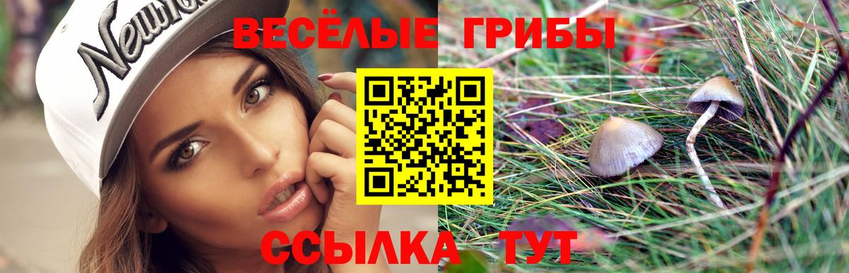 наркотики  Галлюциногенные грибы прущие грибы  Вход с VPN  Наро-Фоминск 